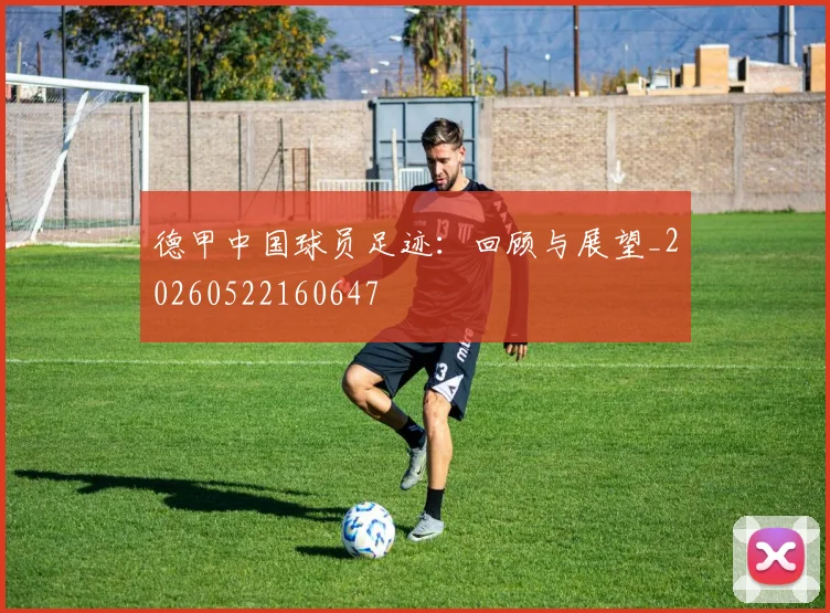 德甲中国球员足迹:回顾与展望_20260522160647
