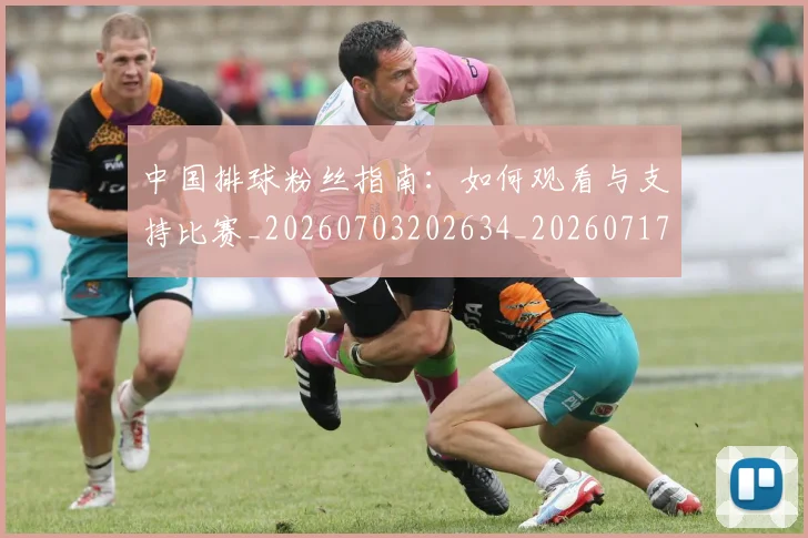 中国排球粉丝指南：如何观看与支持比赛_20260703202634_20260717234427