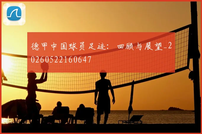 德甲中国球员足迹：回顾与展望_20260522160647